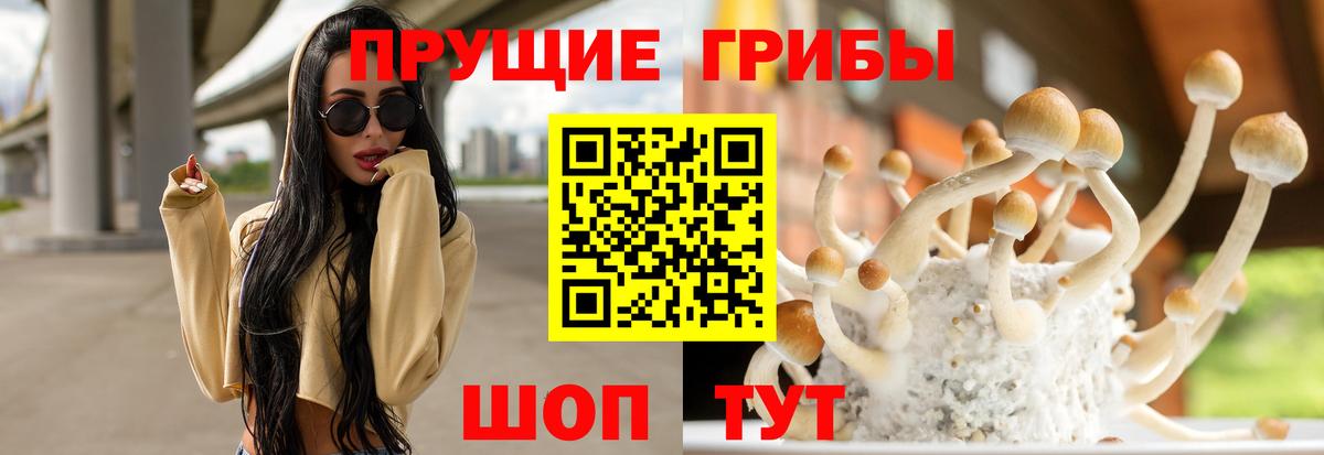 Псилоцибиновые грибы Magic Shrooms Карабулак